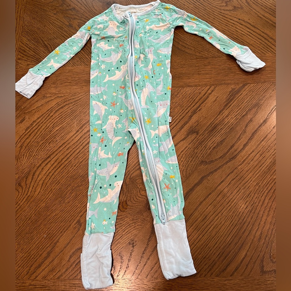 Little Sleepies Zippee Pajamas Size 12-18 months